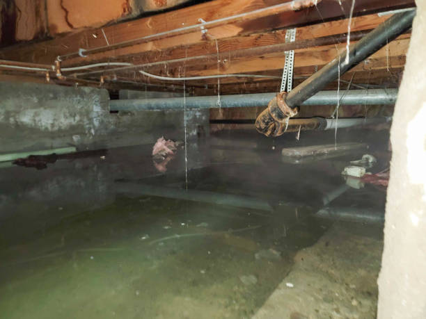 Best Local water damage restoration  in Basking Ridge, NJ