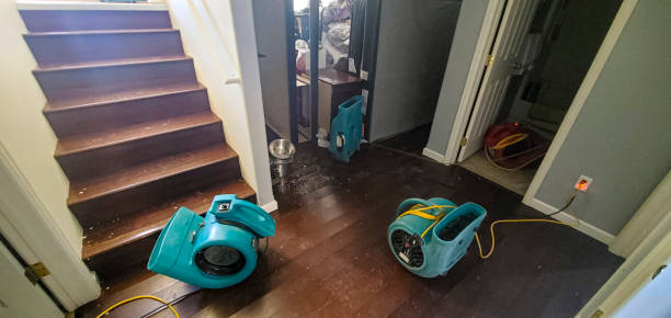Best Local water damage restoration  in Basking Ridge, NJ