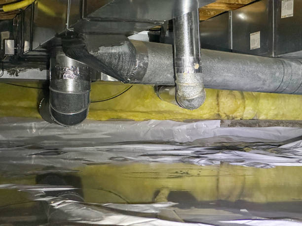 Best Water damage mitigation services  in Basking Ridge, NJ