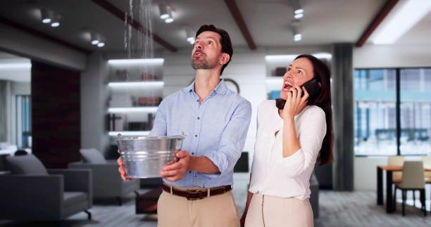 Best Local water damage restoration  in Basking Ridge, NJ